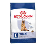 ROYAL CANIN MAXI ADULT 5+