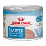 ROYAL CANIN WET STARTER MOUSSE MOTHER & BABY
