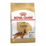 ROYAL CANIN COCKER