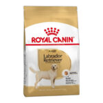 ROYAL CANIN LABRADOR