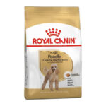 ROYAL CANIN POODLE