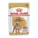 ROYAL CANIN WET POODLE