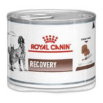 ROYAL CANIN CAN RECOVERY FEL/CAN