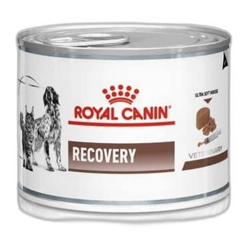 IV1000077 ROYAL CANIN CAN RECOVERY FEL/CAN - Image 1