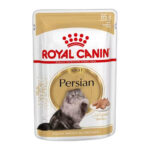 ROYAL CANIN WET PERSIAN