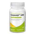 CARPRODYL 100