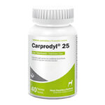 CARPRODYL 25