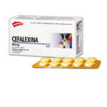 CEFALEXINA 500 HOLLIDAY