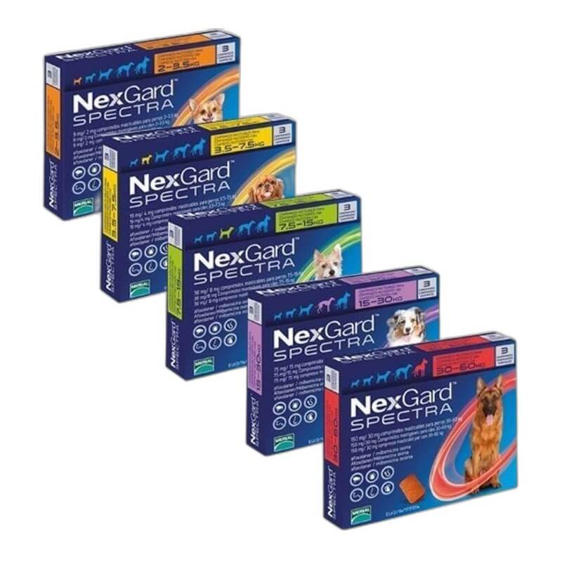 NF0000020 NEXGARD SPECTRA - Image 1
