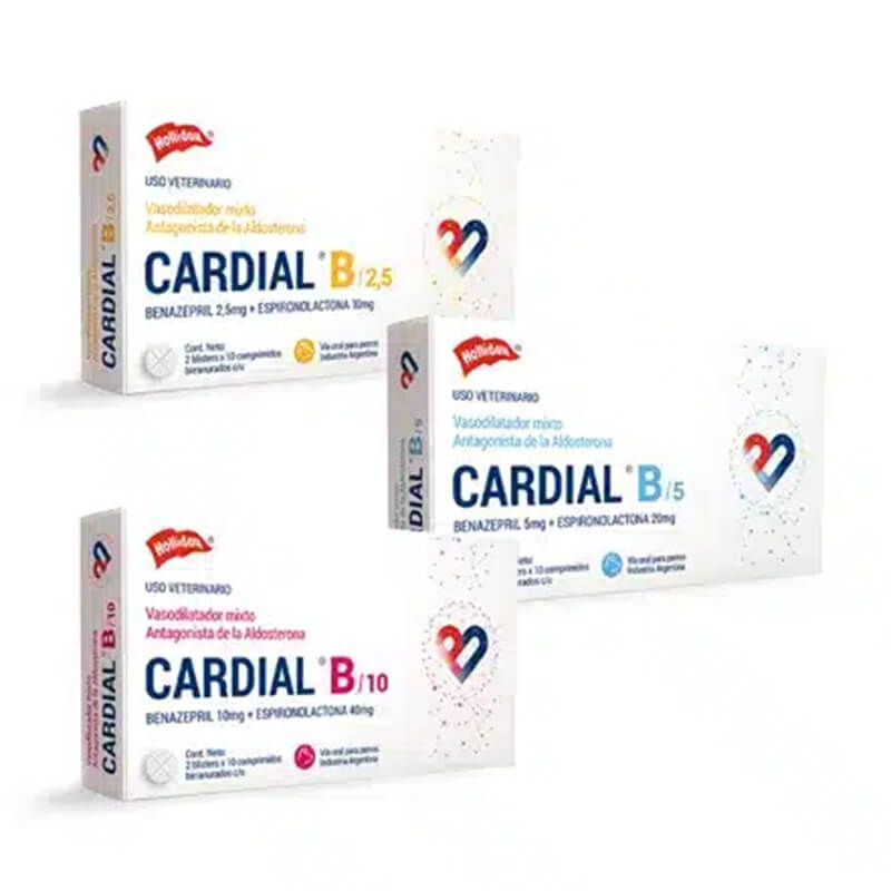 NF1000016 CARDIAL B - Image 1