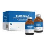 ENROCAM-5