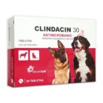 CLINDACIN 30