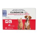 CLINDACIN 10