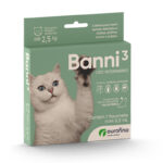 BANNI 3