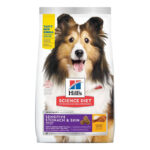 HILL'S SCIENCE DIET ADULTO SENSITIVE STOMACH & SKIN