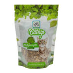 HIERBA FEL CATNIP