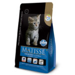 MATISSE FILHOTES