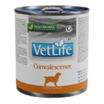 VET LIFE CANINO HÚMEDO CONVALESCENCE