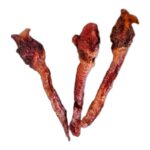 YUMMIE PETS TRÁQUEA DE CERDO