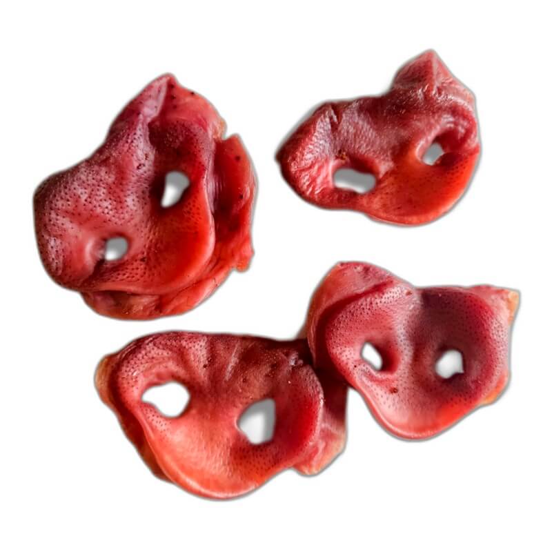 YP1000023 YUMMIE PETS TROMPITAS DE CERDO - Image 1