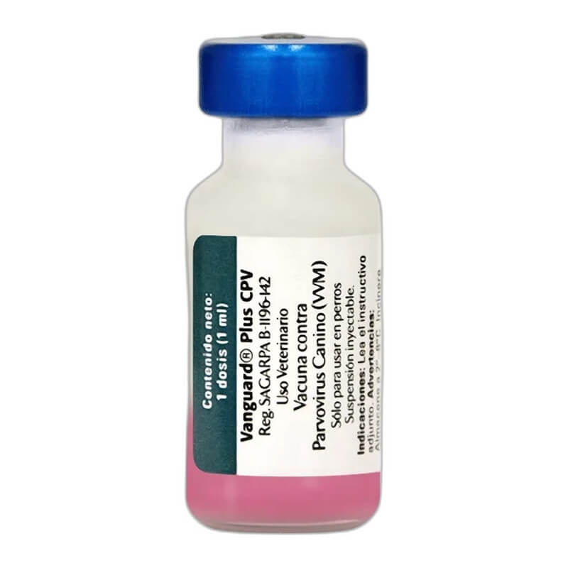 ZO100017 VANGUARD PLUS CPV - Image 1