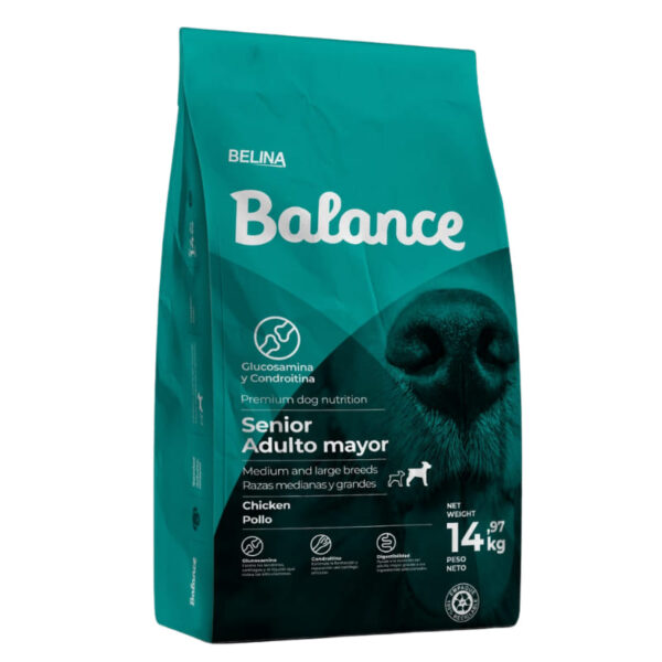 BALANCE ADULTO MAYOR